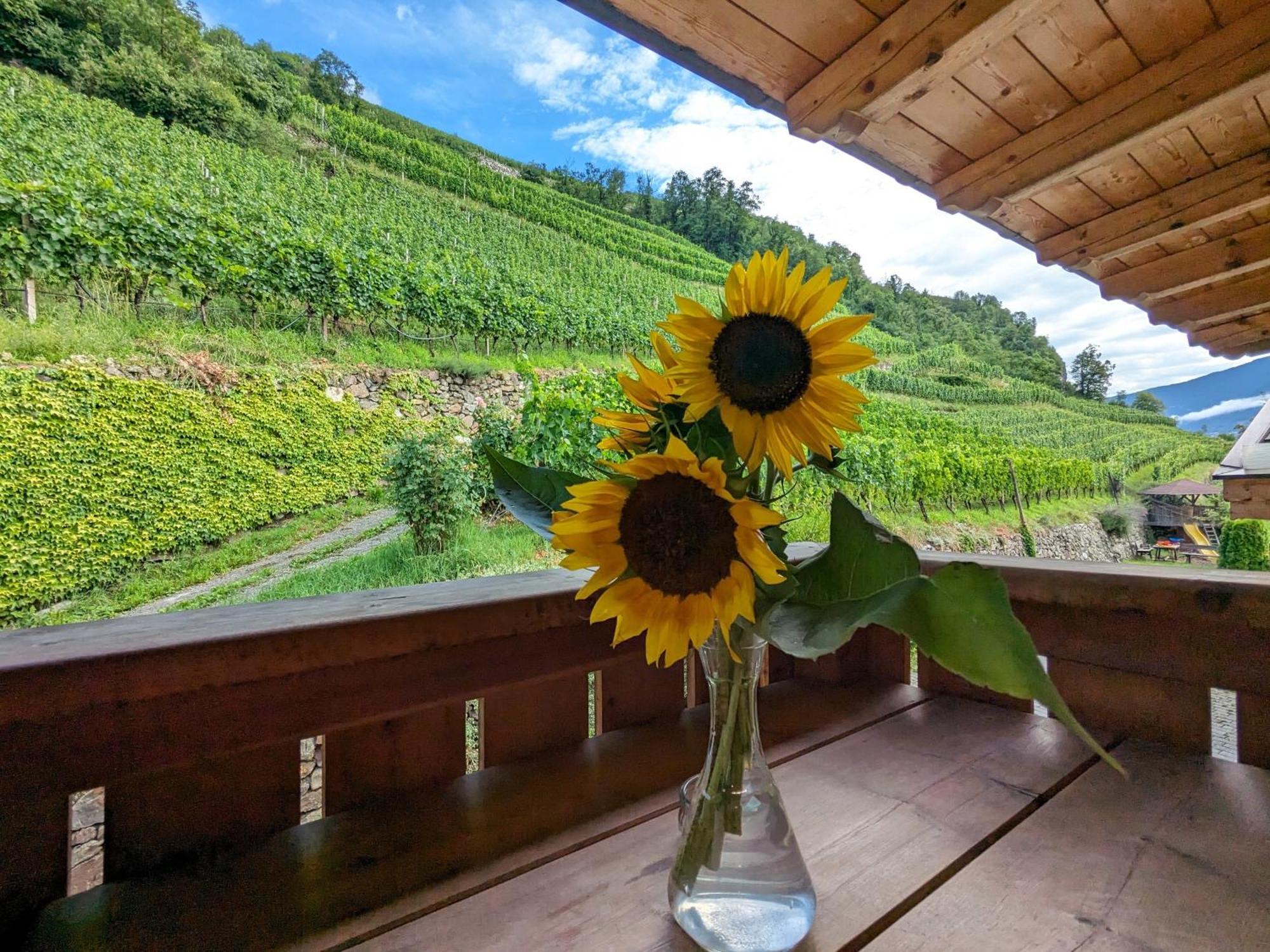 Villa Hofer Hof Velturno Esterno foto