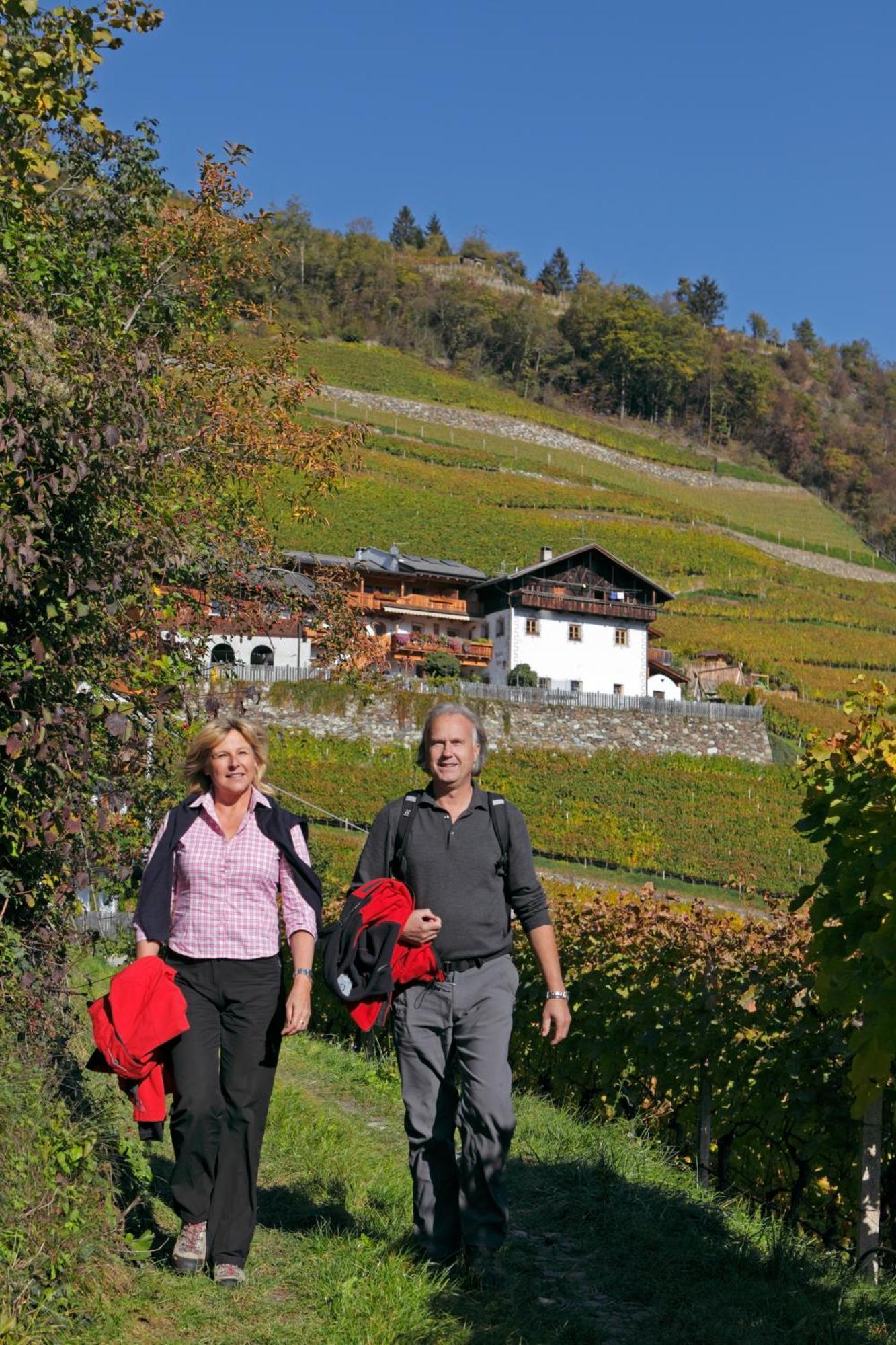 Villa Hofer Hof Velturno Esterno foto
